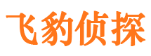 青白江市私家侦探